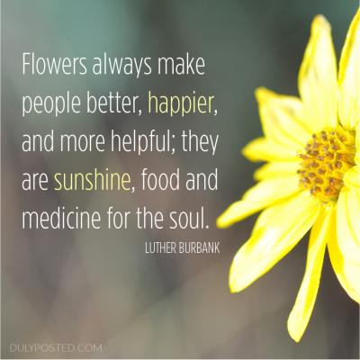 Dulyposted Flowers Sunshine Soul Quote1