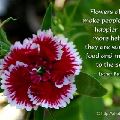Flowers Always Make People
